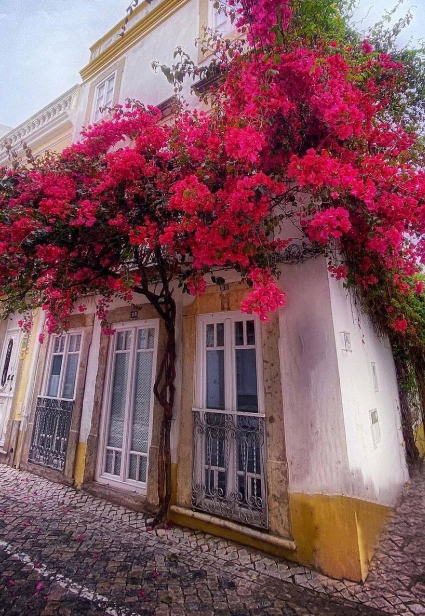 Elegant Studio Formosa In Taviras Historica Centre Villa Ngoại thất bức ảnh